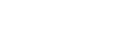 Origen Vital